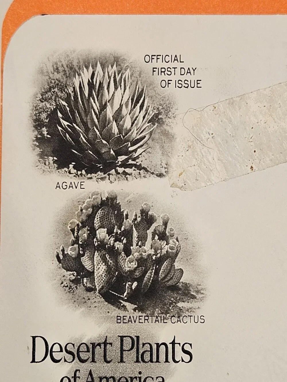 RARE COLLECTIBLE USPS 1ST DAY ISSUE COVER DESERT PLANTS AGAVE CACTUS STAMP FDC